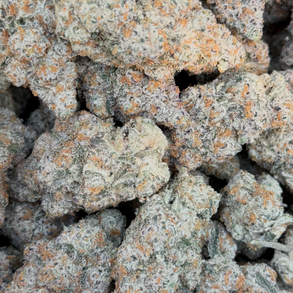 3.5G - PREMIUM SMALLS WHOLE FLOWER - SATIVA - CASE 12 BAGS