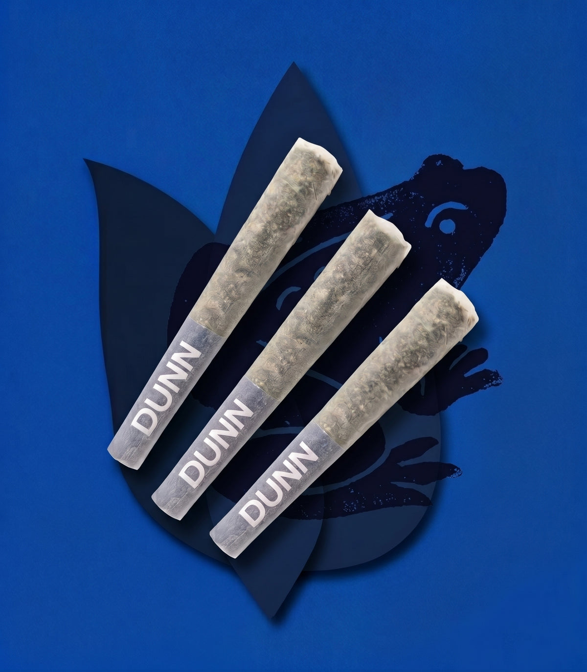 DUNN - 3x0.5G TOAD FANTASY - CASE 12 UNITS