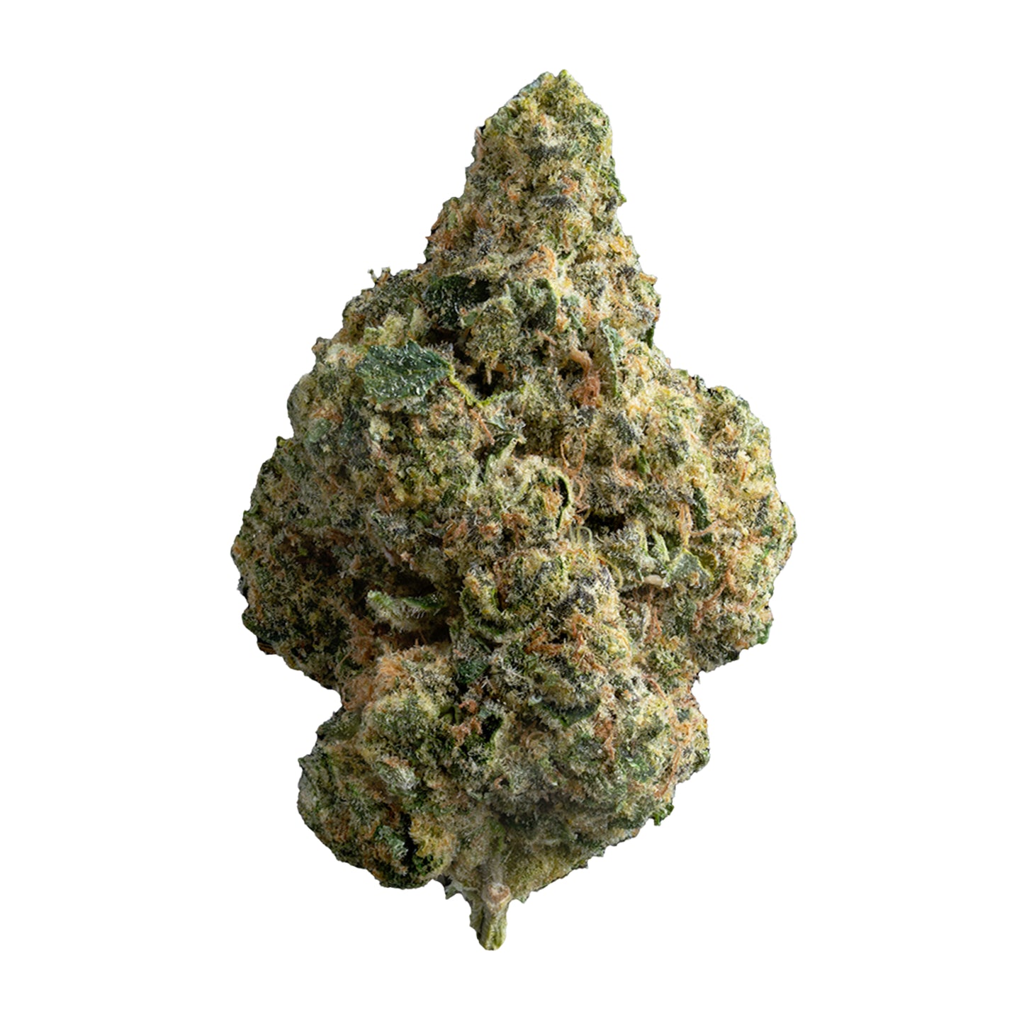 28G - THE REPUBLIC RESERVE 25% - WHOLE FLOWER - CASE 6 BAGS